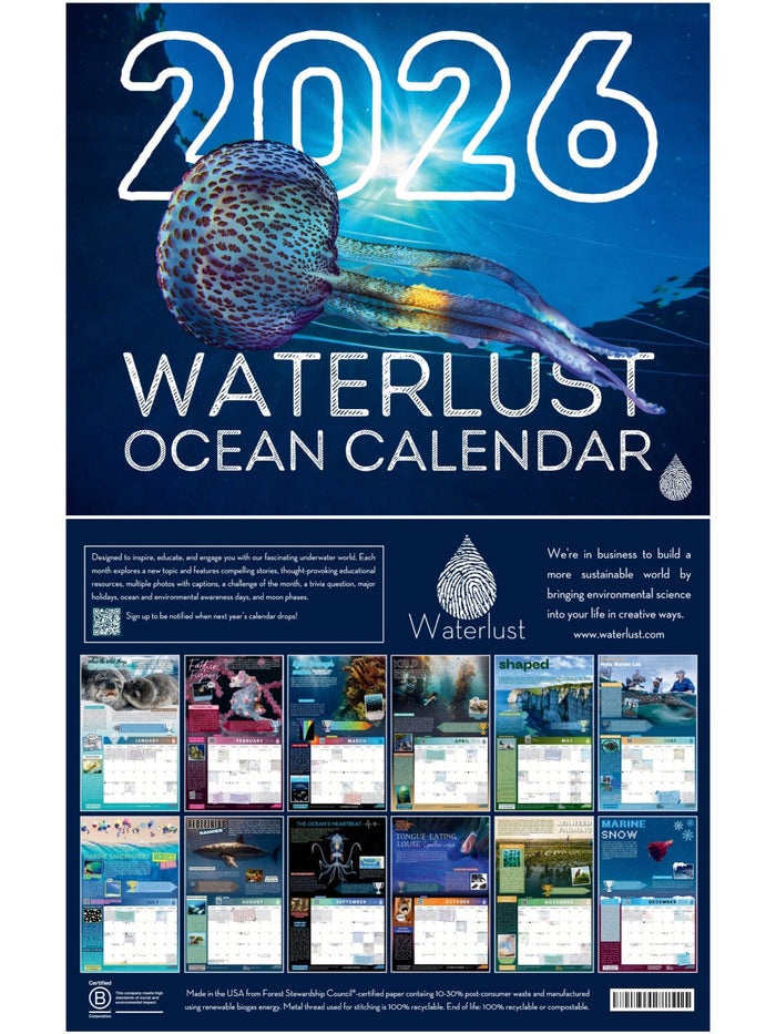 2026 Waterlust Ocean Calendar | Waterlust