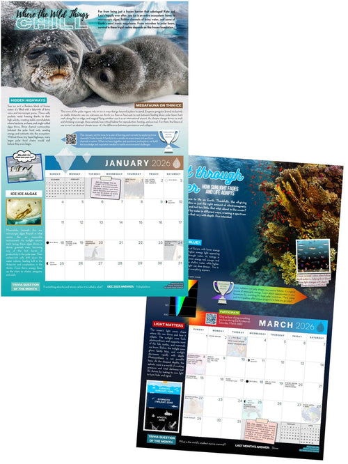 2026 Waterlust Ocean Calendar | Waterlust