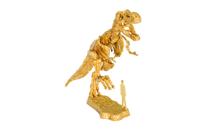 3D TRex Excavation Kit