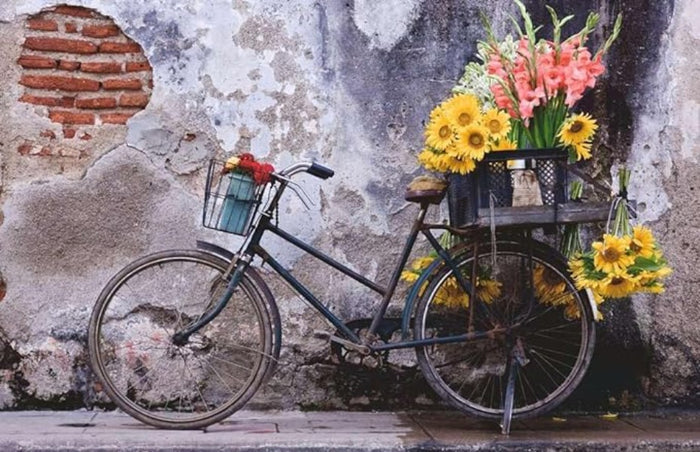 Bicycle Puzzle Moments 200pc