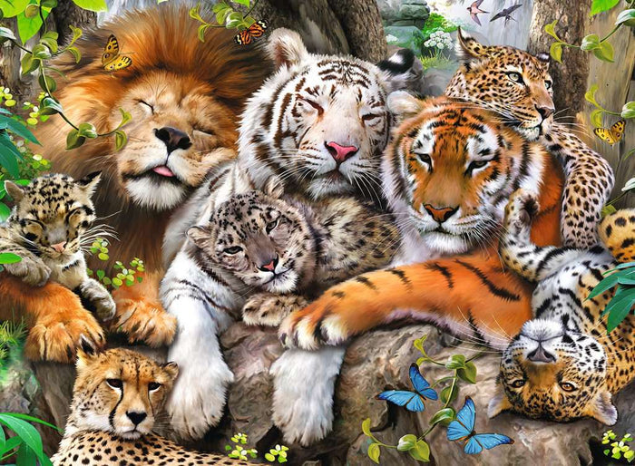 Big Cat Nap 200