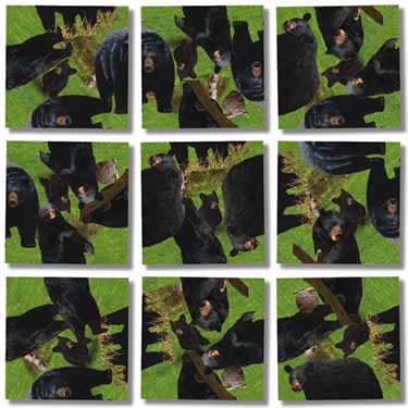 Black Bears Scramble Squares®