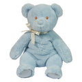 Blue Teddy Bear