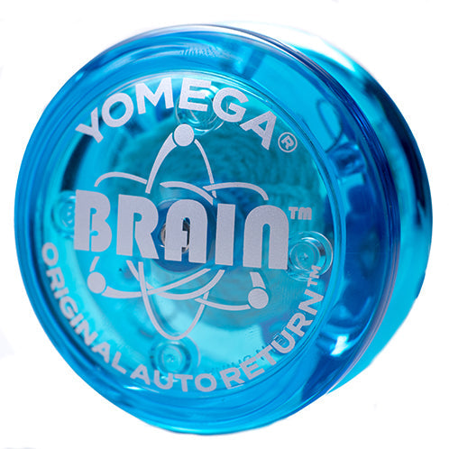 Brain