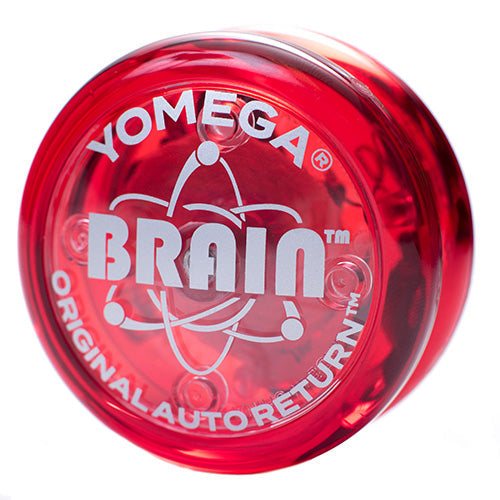 Brain