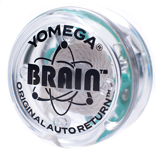 Brain