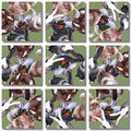 Bunnies Scramble Squares®