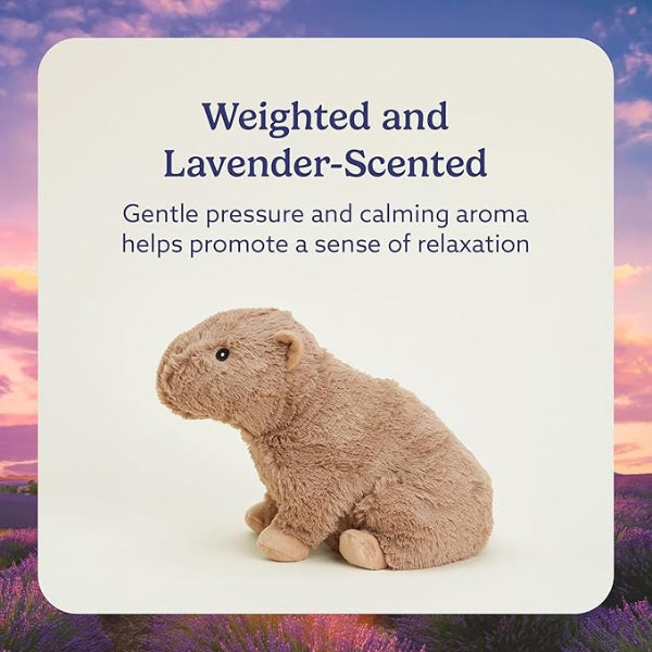 Capybara Warmies