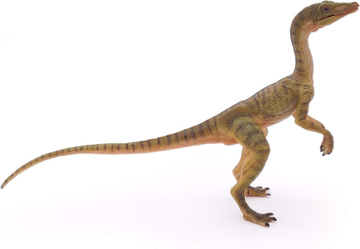 Compsognathus Dinosaur