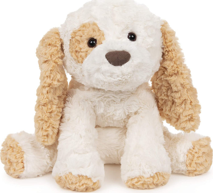 Cozys Puppy