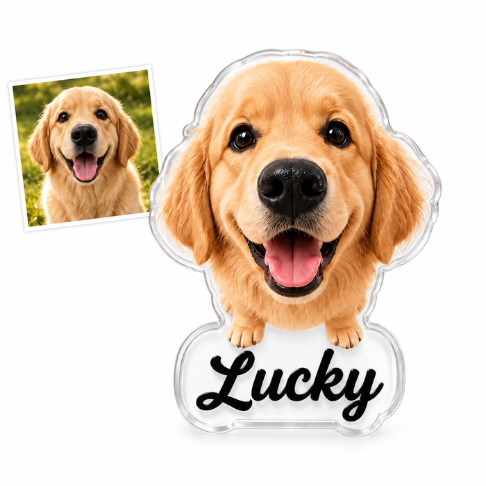 Custom Dog Nose Squishy Fridge Magnet From Photo