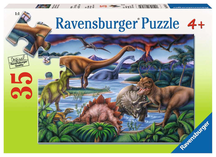 Dinosaur Playground 35