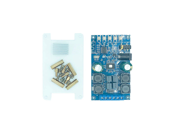 Dual-Channel Bluetooth/LINE IN Digital Amplifier with Shell