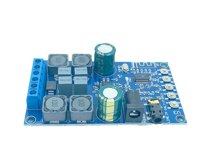 Dual-Channel Bluetooth/LINE IN Digital Amplifier with Shell