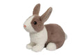 Dutch Bunny Daffodil
