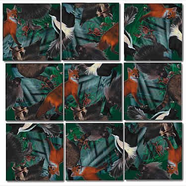 Forest Animals Scramble Squares®