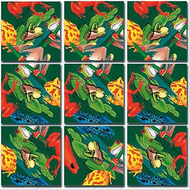 Frogs Scramble Squares®