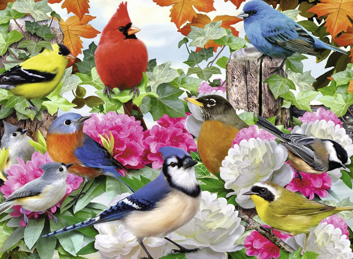 Garden Birds 500