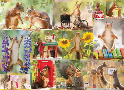 Getting Squirrelly
