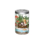 Grow and Glow Terrarium