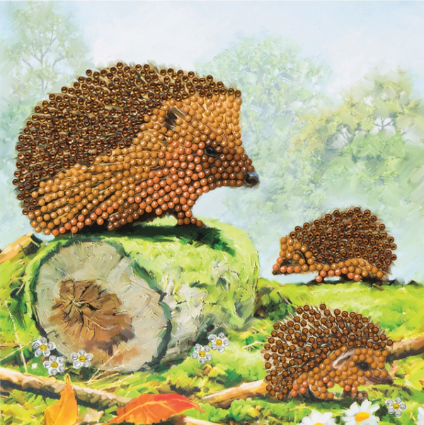 Happy Hedgehogs Card Kit
