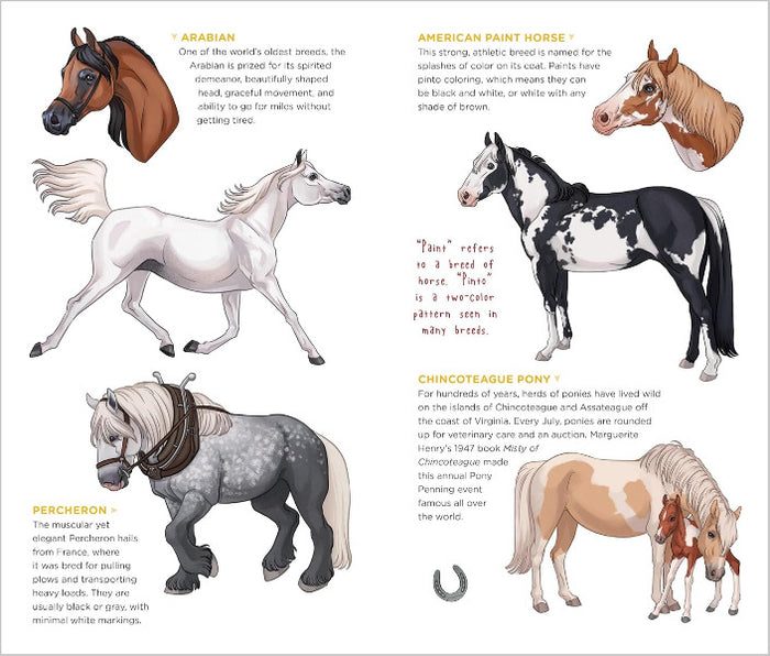 Horse Tattoos that Teach