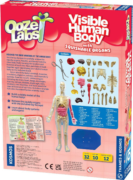 Ooze Labs Visible Human Body toy set packaging with anatomical model and organs