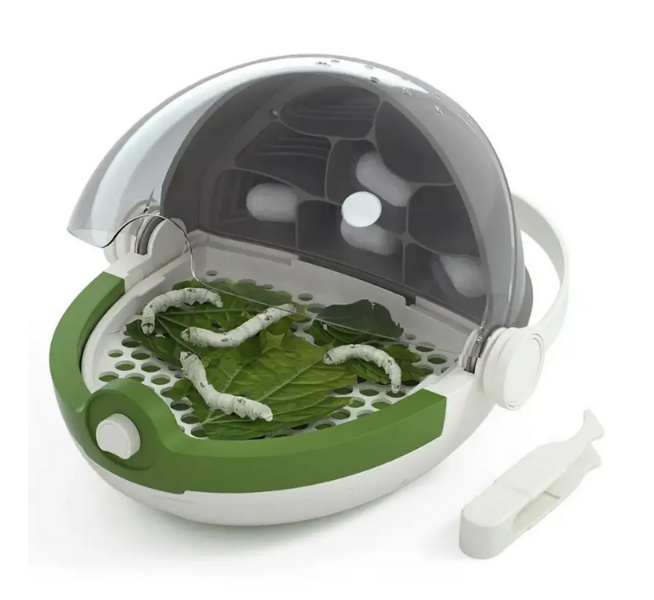 Insects Growth Station
