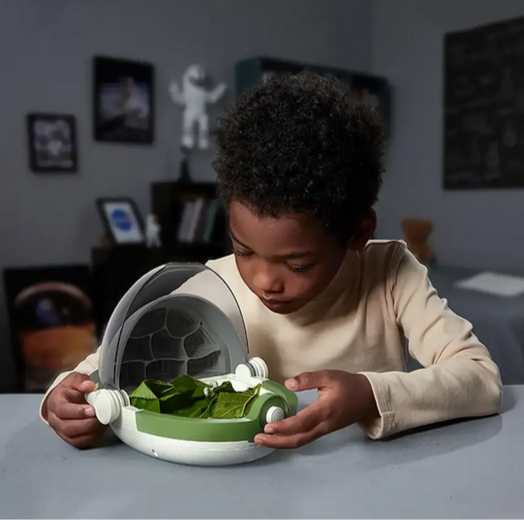 Insects Growth Station