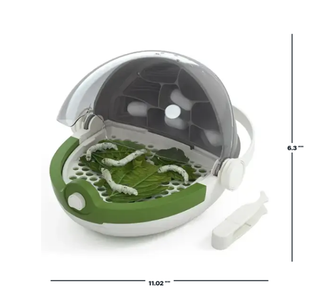 Insects Growth Station