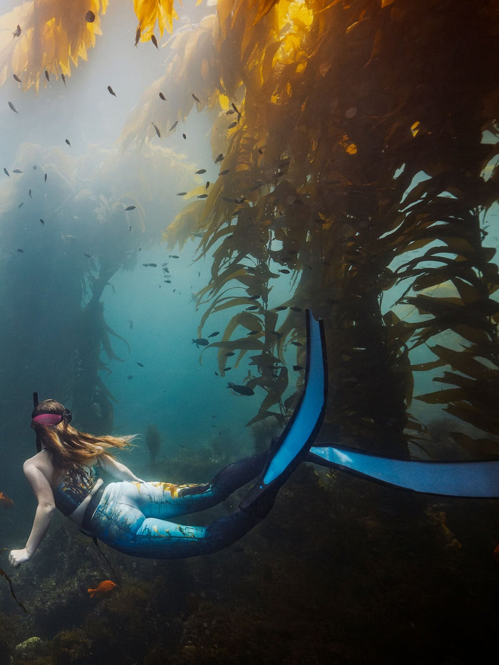 Kelp Forest Leggings | UPF 50+ | Waterlust