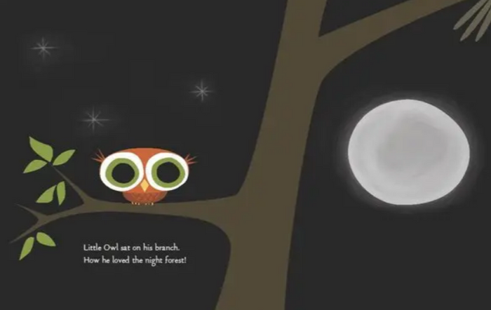 Little Owl's Night