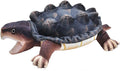 Living Stream Snapping Turtle