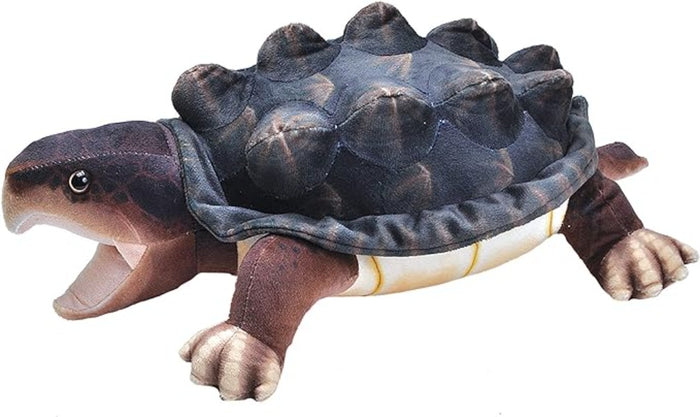 Living Stream Snapping Turtle
