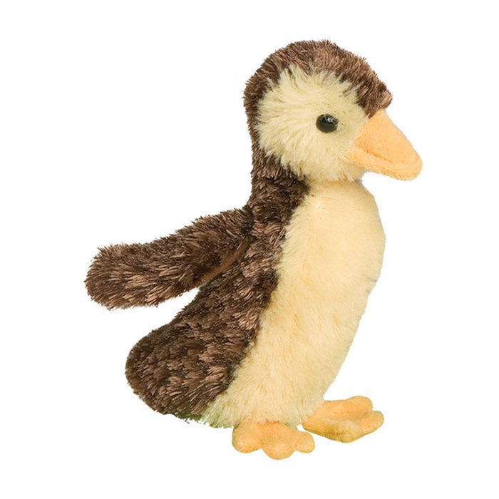 Marsha baby Mallard