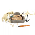 Mesozoic Super Dino Fossil Dig