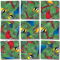 North American Birds Scramble Squares®