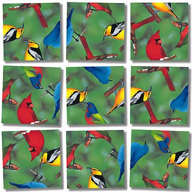 North American Birds Scramble Squares®
