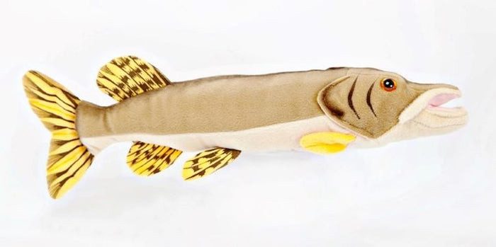 Northern Pike stuffed fish