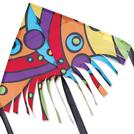 Orbit Fringe Delta Kite