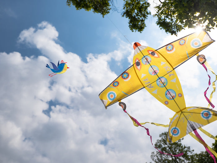 Plane Maxi Kite
