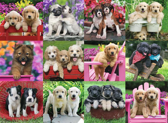 Puppy Pals 500