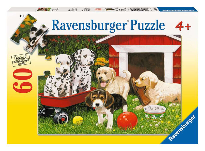 Puppy Party 60