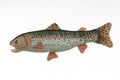 Rainbow Trout stuffed fish