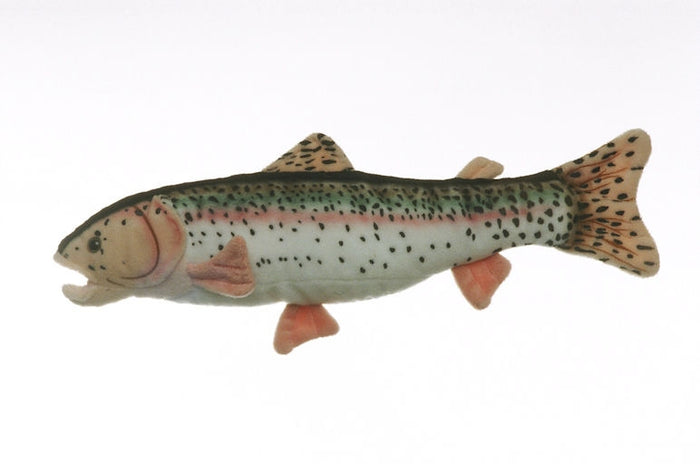 Rainbow Trout stuffed fish