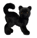 Scaredy Black Cat