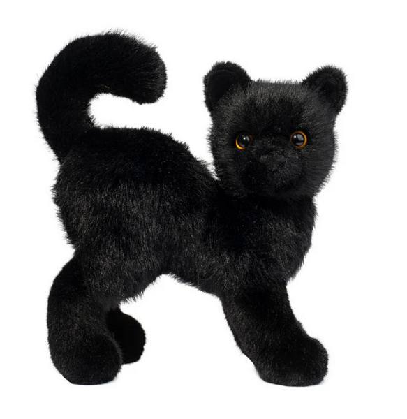 Scaredy Black Cat