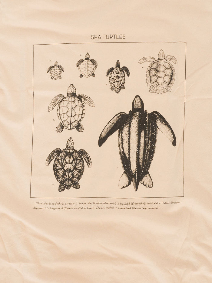 Sea Turtle ID Tee | Organic Cotton | Waterlust