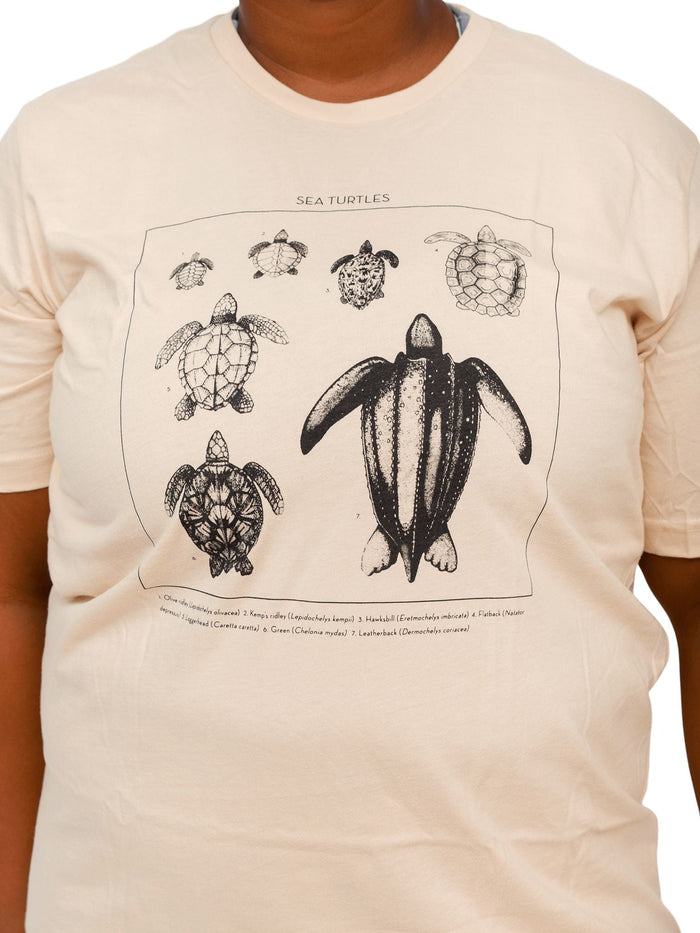 Sea Turtle ID Tee | Organic Cotton | Waterlust