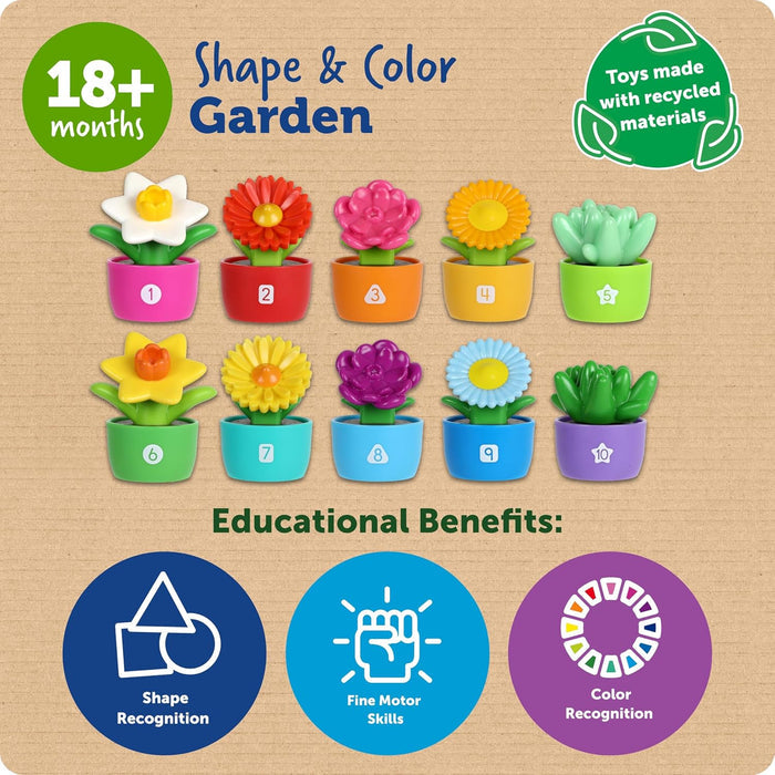 Shape Color Garden